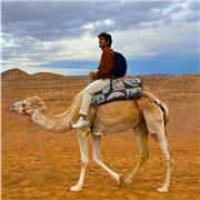 Sviluppatore software, laureato in informatica, insegna linguaggi di programmazione web( HTML, JavaScript, CSS)